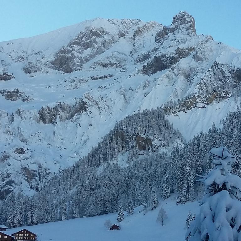 Bunderbach Villa Adelboden Exterior photo