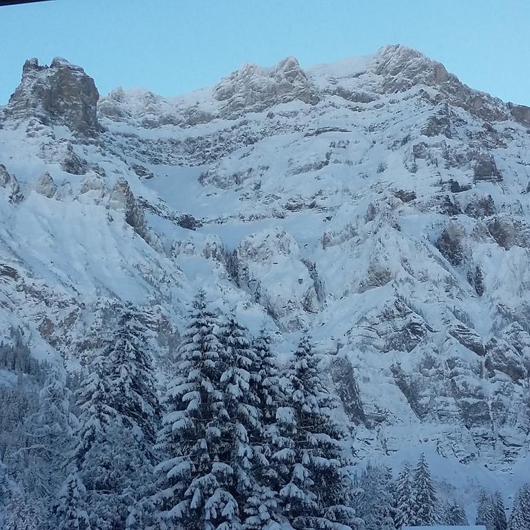 Bunderbach Villa Adelboden Exterior photo